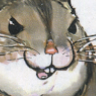 hamusukethewise: (Default)