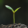 sproutsystem: used for posts related to the entire system (sprouts)
