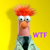 take_the_good: Beaker from The Muppets (Beaker WTF)