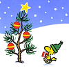 sallymn: (xmas 5)