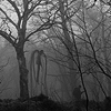 cazrolime: The Slender Man stalking some poor sod through the forest. ((x) . if you go down to the woods)