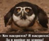 dolgo_vo59: (юпик)