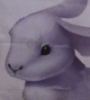 vandall88: (Default)