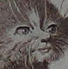 philtrius: (Default) philtrius: (Default)