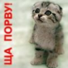 anna_1811: (pic#10861850)