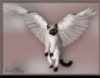 white_bars: (pic#10866236)