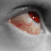 esyr: (красно-серый глаз)