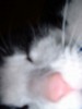kiya: (misc)