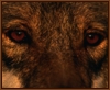 kiya: (watcher)