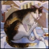 ellisp: (cat 01.)