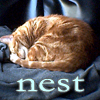 ladymondegreen: (Nesting)