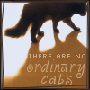 ladymondegreen: (No ordinary cats)