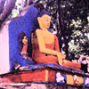 gategrrl: (Swayambunath Buddha)