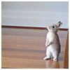 missdiane: (Bunny Standing)