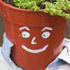 ewx: (flowerpot)