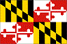 dlgood: (Flag)