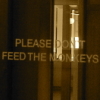 wantedonvoyage: (Monkeys)