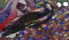 melita66: (raven)