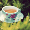 osprey_archer: (tea)