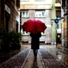 chalcedony: (red umbrella)