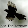 the_sheryl: (One for sorrow)