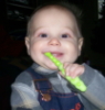 rockinlibrarian: (toothbrush)