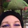 valkyriestears: (brain parrot)