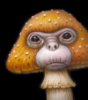 edczy: (naotohattori.com)