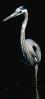ivy: (heron dark waters)