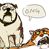 dr_zook: gladstone & tiger rug = <3 (ohgod)