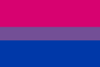 bikergeek: bi pride flag (bi pride flag)