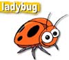 ladybugkoozl: Happy Ladybug (Happy Ladybug)