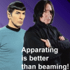memnet: (spocksnape)