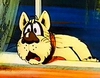 cybernatic_cat: (surprised)