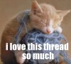 melina: kitty sleepy on a ball of thread, with caption "I love this thread so much" (Kitty loves thread)
