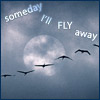 cloudy_fic: (fly away by counterglow)