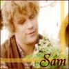 prisca: (tolkien - lotr - sam flowers)