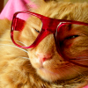 gwen: (Jack Glasses)