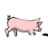 madbaker: (charcuterie)