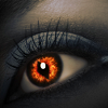 lordofthering: (dragonslayer)