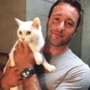 solosundance: (mcgarrett-mr.pickles)