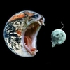silverjade: (It's a Cat eat Mouse World)