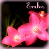 emberfire: (Default)