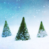 laulan: Three little brush evergreen trees in a field of snow. ([misc] wintertime)