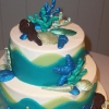 fullygoldy: The Cake Blog's seashell cake (Sea cake)