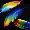 fullygoldy: Rainbow painted Feathers (Feather Rainbow)