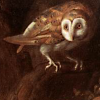 ozsaur: (Spooky Owl)