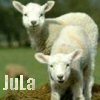 nopseud: (pairings -- lambs -- nopseud)