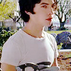 cygninae: (☆ 034)
