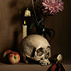 kalmialatifolia: a vanitas photo of a skull, some apples, a candle, and a flower (house; ice and time and time)